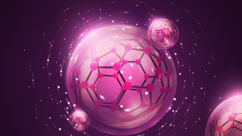 PCR检测纸质报告的获取时间揭秘