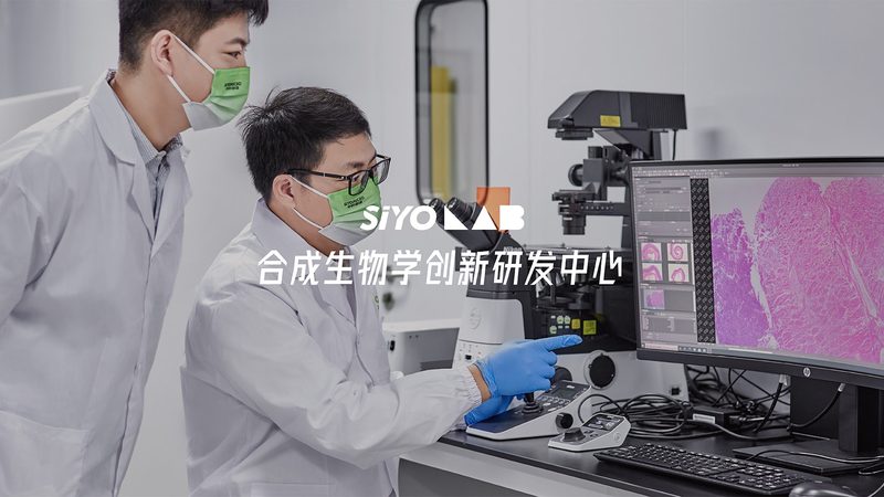 磷酸化抗体WB检测：磷酸酶抑制剂的关键作用解析**