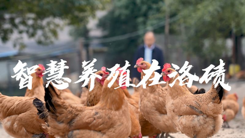 荧光引物修饰到底看什么