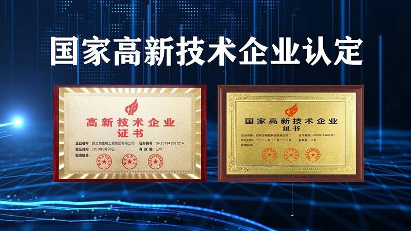 解码上海生物科技公司研发实力：揭秘背后的关键因素**